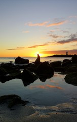 Lobo marino en Galapagos - San Cristobal, Punta Carola