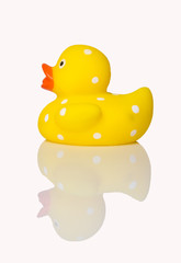 Yellow Rubber Duck in Reflection