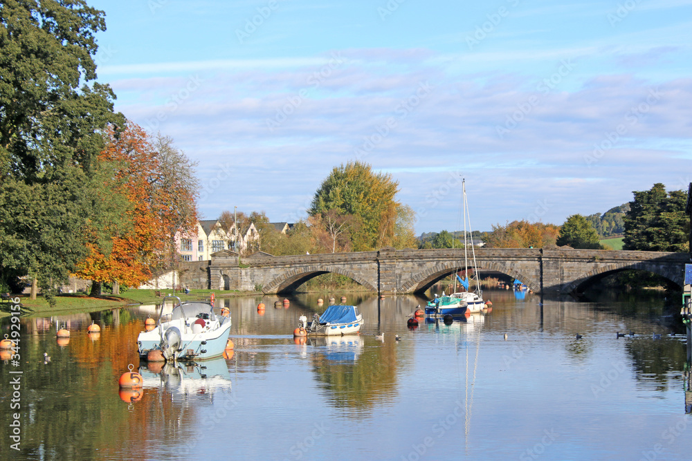 Wall mural bridge over the river dart at totnes