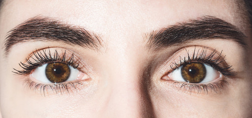 Obraz premium Beautiful female eyes. Brown eyes close up. Open eyes. Eyes are looking at the camera. Mascara on the eyelashes. Eyes and eyebrows near. Charming look.