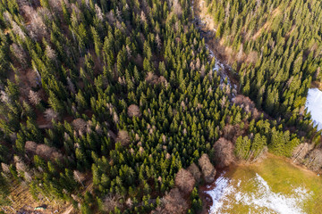 Aerial view, Hintersee with Mühlsturzhorn and Reiteralpe, Berchtesgadener Land, Ramsau, Upper Bavaria, Bavaria, Germany