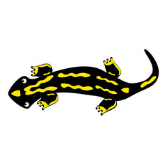 Lizard black yellow, isolated vector illustration, cartoon style