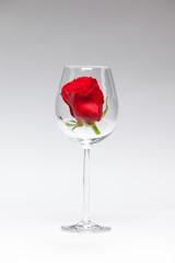 glass with red rose