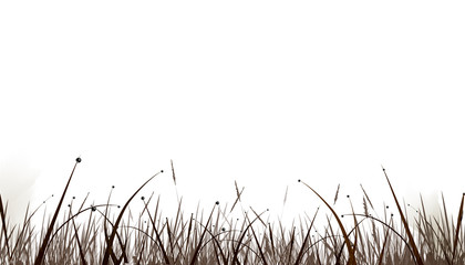 Realistic Grass Borders black grass isolated from a white background. Vector illustrations