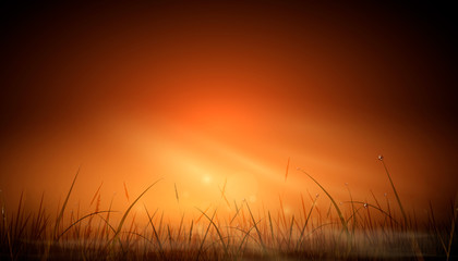 Obraz premium Realistic orange dawn rays of the sun and glare of a natural background over a field of grass. sunset sky background design. Stylish vector illustration.