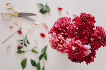 Arranging a bouquet of dahlias 
