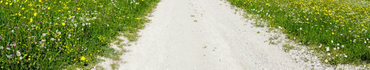 Panorama Weg zwischen Wiese 
