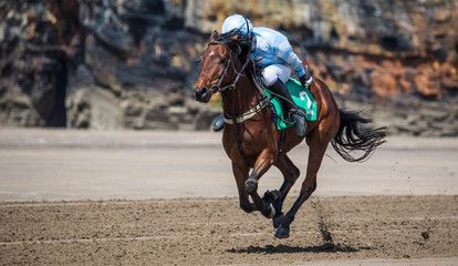 Single race horse and jockey racing on sandy beach