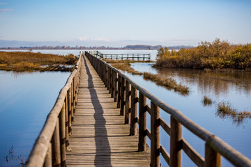 Naklejka premium Wooden deck constructed for water transportation and birdwatching at the protected areas of lake Vistonida Porto Lagos. Xanthi region, Northern Greece. Selective shallow focus image