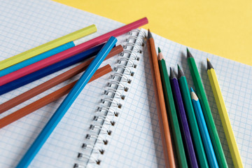 Back to school. Distance education. Education during the quarantine. Studying and learning from home