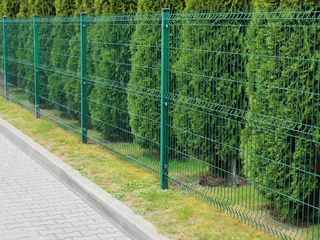 neat metal fence and thuja park area in the city © VADZIM
