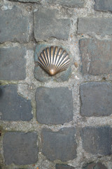 Brass shell in cobblestone on the street at Bruges Belguim