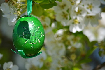 green easter egg on a flowering tree in the spring