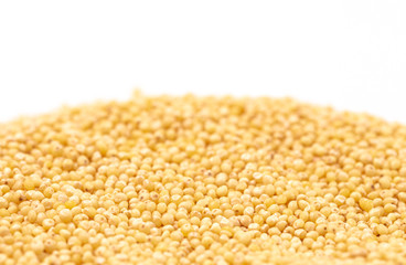 Whole Millet Pearl Grains on a White Background