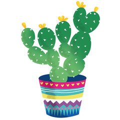 cactus in a turquoise cache-pot