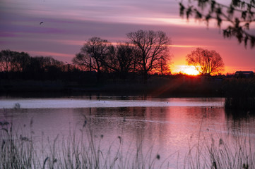 Fototapeta premium sunrise over lake