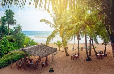 Beach summer cafe in Bentota, Sri Lanka