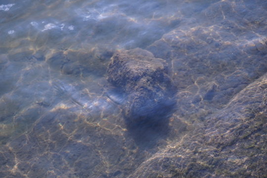 rock in water