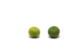 Calamansi or calamondin or Philippine lime (Citrus microcarpa) isolated on white background