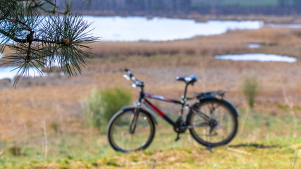 Naklejka na ściany i meble Bicycle on nature background. Pine branch on river background. Travel on a bicycle