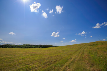 sloping meadow on a hillside on a sunny day