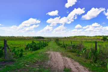 Obraz premium Camino al cielo