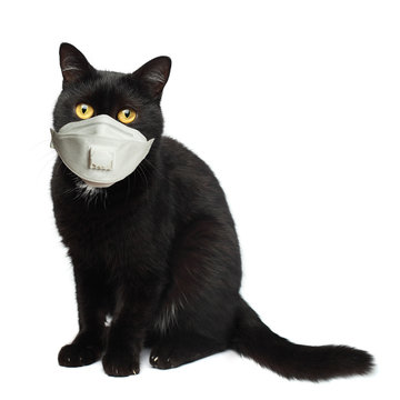 Download Ydfvec Rtfsuxm PSD Mockup Templates