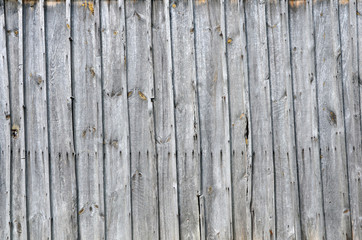 Obraz premium old wooden fence texture background