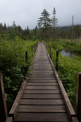 Wooden bridge on mountain trail