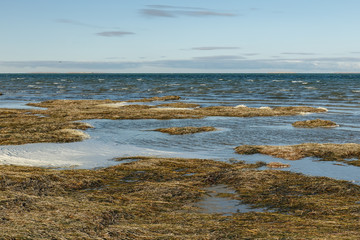 Lake Kamyslybas is a large saltwater lake in Kazakhstan.