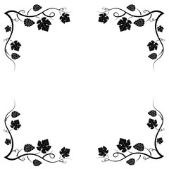 Vector decorative frame of vine on a white background. Black-white ornate silhouette. An element of your design.