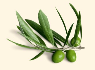 Olive.