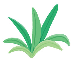 Cute cartoon hand drawn green succulent aloe plant vector graphic design decorative element for nursery design, poster, greeting, birthday card, baby shower design and party decor isolated on white