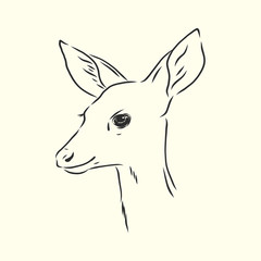 Fototapeta na wymiar Deer portrait. Hand drawn vector illustration. Can be used separately from your design. portrait of a deer, deer head, vector sketch illustration