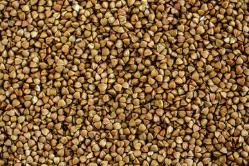 Textured buckwheat. Close-up. Only buckwheat in the frame