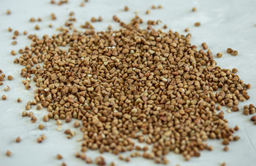 Buckwheat groats closeup scattered on a light gray table