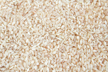 Red rice close-up. In the frame only rice