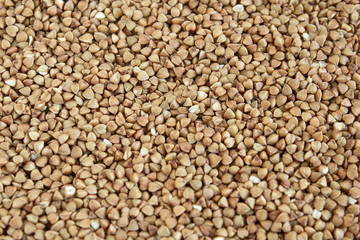 Buckwheat groats closeup. Buckwheat porridge or kasha