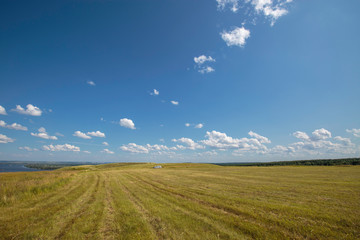 Obraz premium sloping meadow on a hillside on a sunny day