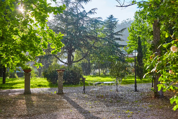 Fototapety na wymiar - Fototapeta24.pl