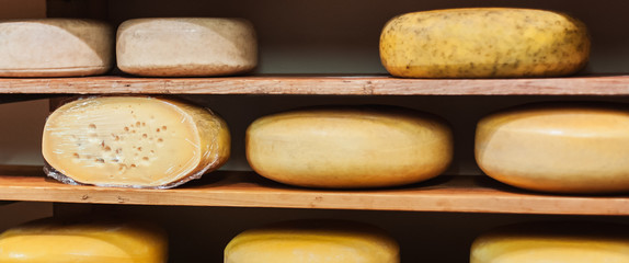 Traditional Dutch cheese displayed for sale in shop market