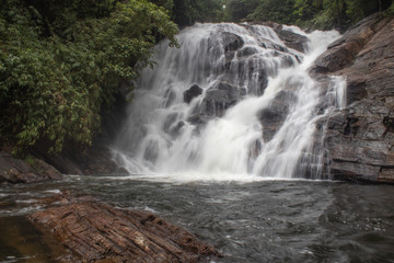 Fototapeta na wymiar Waterfall in the mountains in Sinharaja Sri Lanka