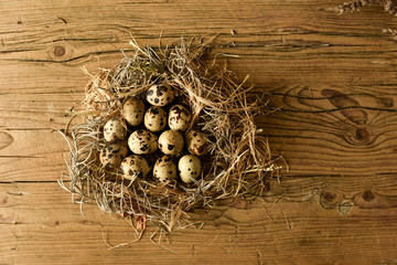 easter eggs in a nest