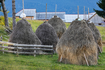 Haystacks on green field beautiful hills of Transilvania 