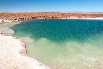 Hidden lagoon Baltinache (Lagunas escondidas Baltinache) Atacama Desert, Chile