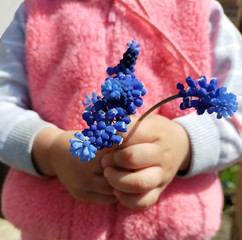 A bouquet of blue flowers in children's hands.