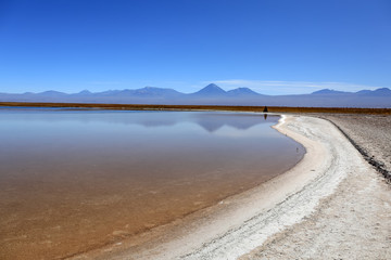 Salar salt lake chili