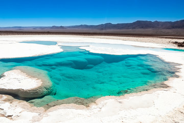 Hidden lagoon Baltinache (Lagunas escondidas Baltinache) Atacama Desert, Chile