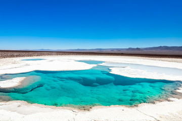 Hidden lagoon Baltinache (Lagunas escondidas Baltinache) Atacama Desert, Chile