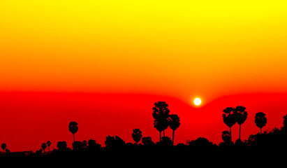 Fototapeta na wymiar sunset with silhouette tree